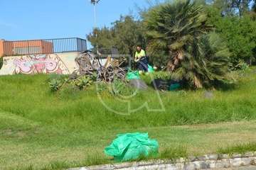 Intervención en la pradera pública de césped de Las Remudas (Foto TA)